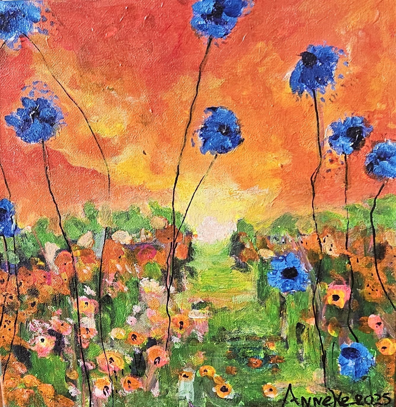 Korenbloem